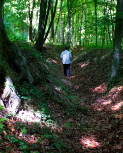 boyau, tranchée, forêt de Verdun, christophe Courau, balade historique, balades-historiques.com