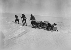expedition polaire, 1911, 1912, musee des confluences, lyon, a la conquete du pole sud, balade historique, balades-historiques.com